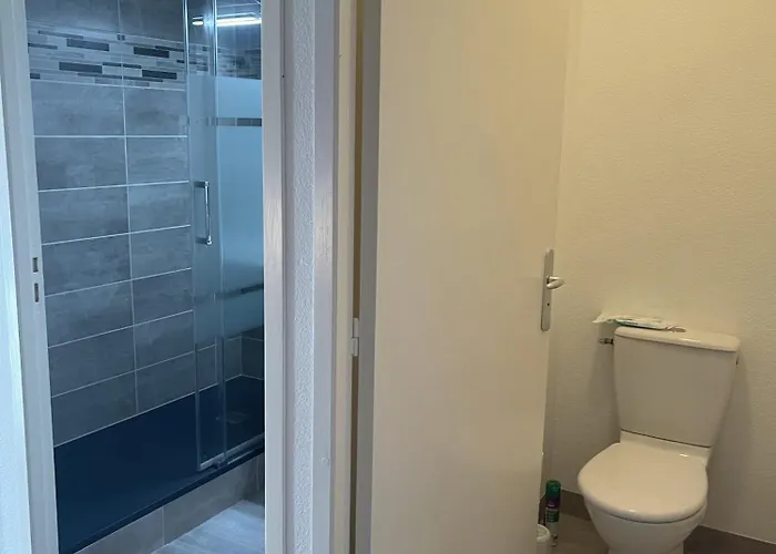 Location T3 A Dans Les Pyrenees * Vignec